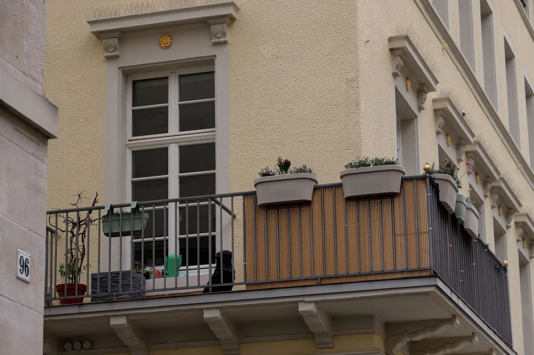 Wohnhäuser mit Vorgärten in Berlin-Lankwitz