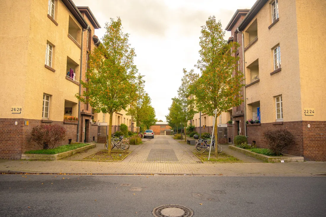 Wohnstraße mit Altbauten und Bäumen in Berlin-Pankow